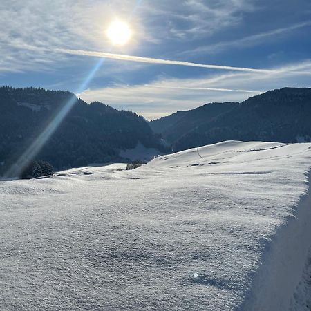 Hotel Garni Oberdorfer Stuben Obermaiselstein Kültér fotó