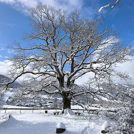 Hotel Garni Oberdorfer Stuben Obermaiselstein Kültér fotó