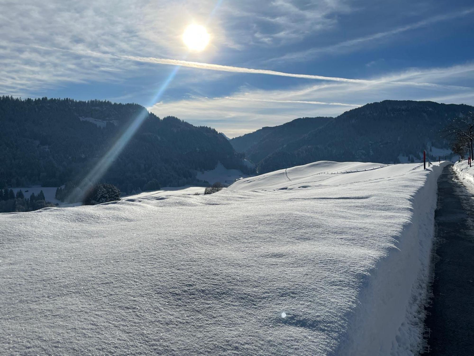 Hotel Garni Oberdorfer Stuben Obermaiselstein Kültér fotó
