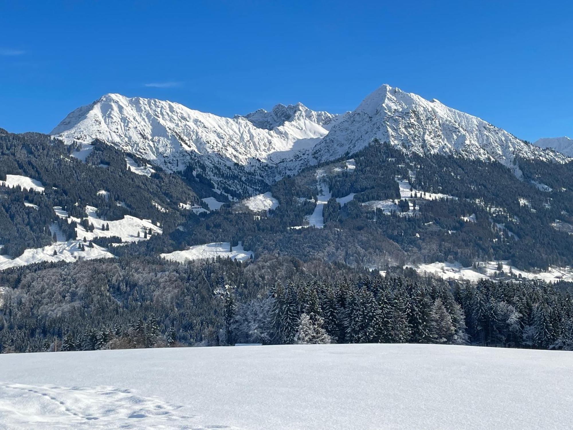 Hotel Garni Oberdorfer Stuben Obermaiselstein Kültér fotó