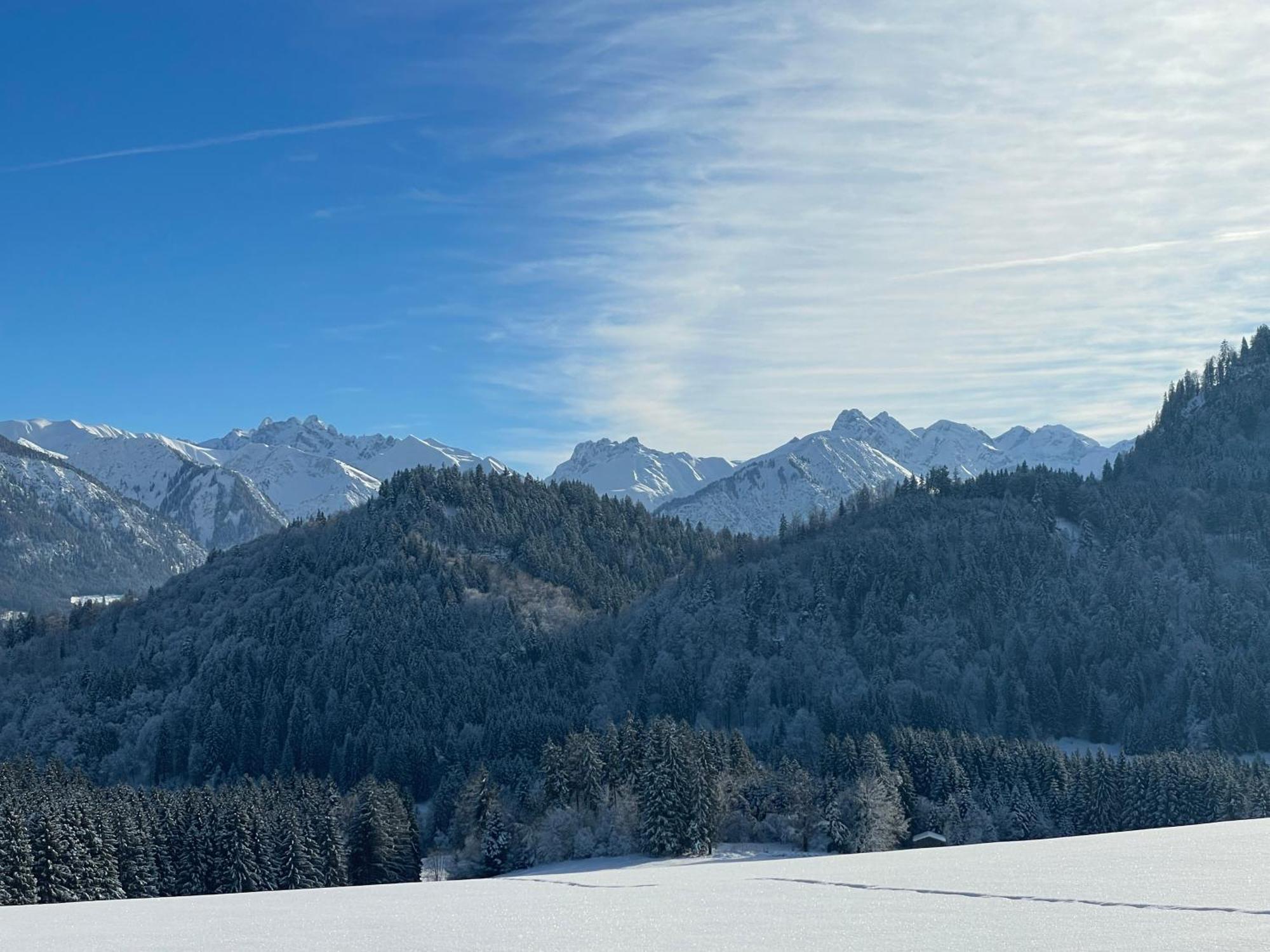 Hotel Garni Oberdorfer Stuben Obermaiselstein Kültér fotó