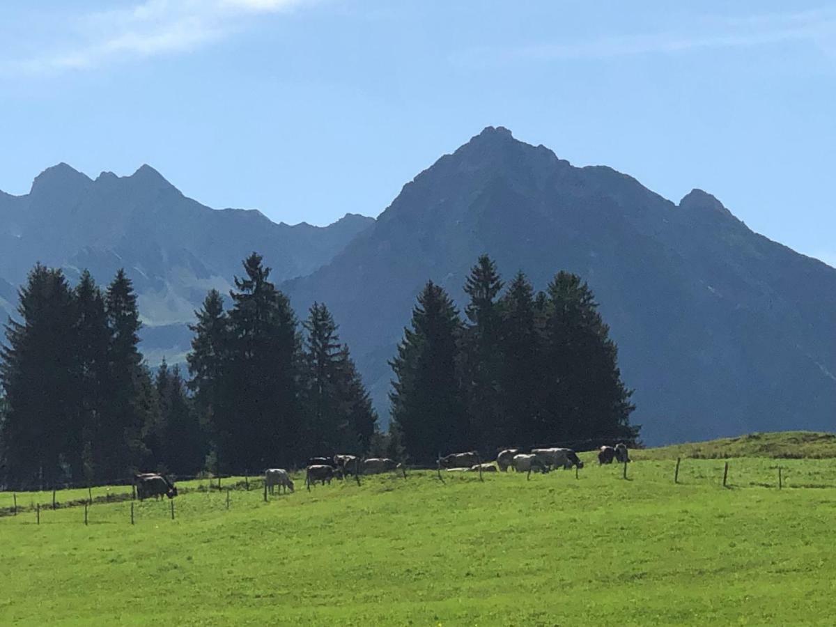 Hotel Garni Oberdorfer Stuben Obermaiselstein Kültér fotó